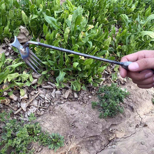 🌺Frühling Vorverkauf 50% Rabatt🌿Gartenarbeit Hand Unkrautstecher