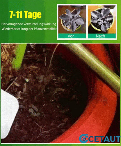 🪴Kaufen Sie 3 für 5 (8 Flaschen）🌼🌱 Pflanzenwachstums-Booster – Schnelle Wurzeln, üppige Blüten & gesundes Gemüse in 7 Tagen!✨