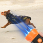 🔥 Ultraschallgerät zur Verhinderung von Hundegebell 🚫🐕🔊
