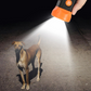 🔥 Ultraschallgerät zur Verhinderung von Hundegebell 🚫🐕🔊